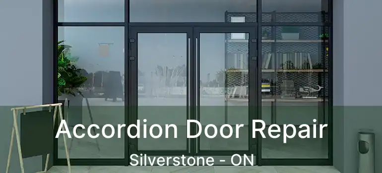  Accordion Door Repair Silverstone - ON