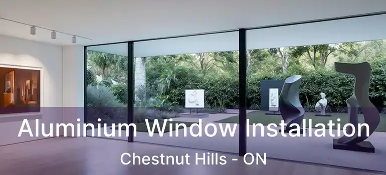  Aluminium Window Installation Chestnut Hills - ON