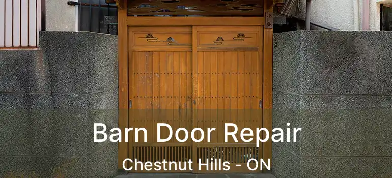  Barn Door Repair Chestnut Hills - ON