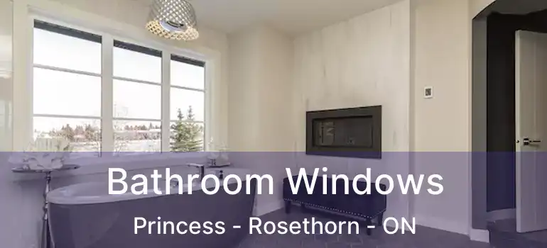  Bathroom Windows Princess - Rosethorn - ON