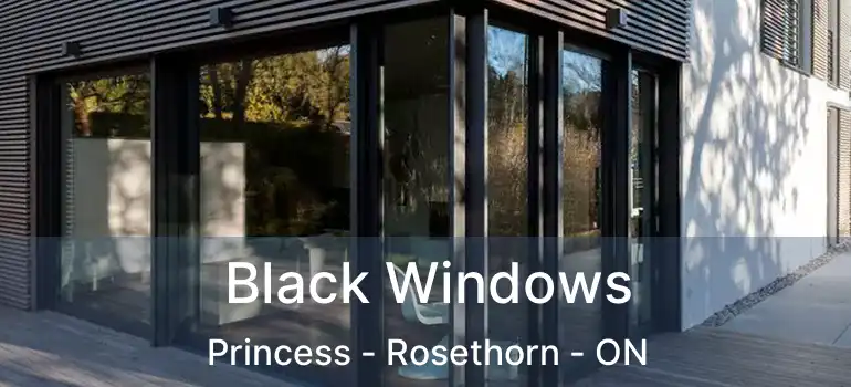  Black Windows Princess - Rosethorn - ON