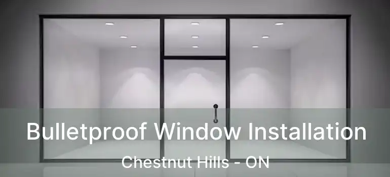  Bulletproof Window Installation Chestnut Hills - ON