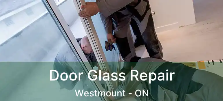  Door Glass Repair Westmount - ON