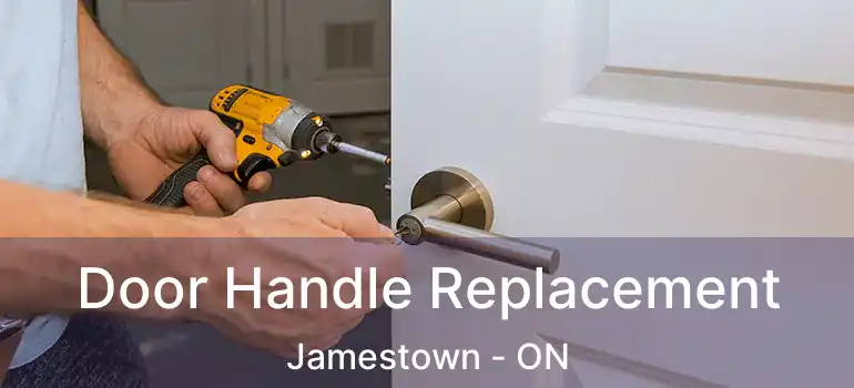  Door Handle Replacement Jamestown - ON
