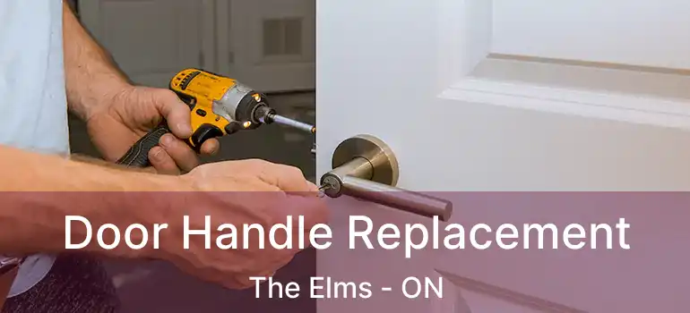  Door Handle Replacement The Elms - ON