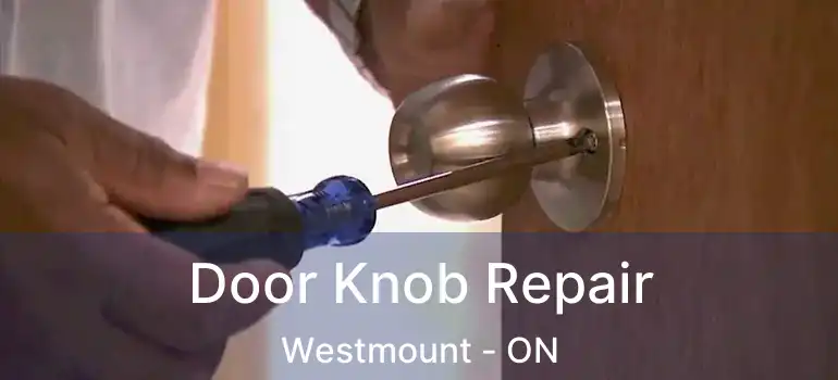  Door Knob Repair Westmount - ON