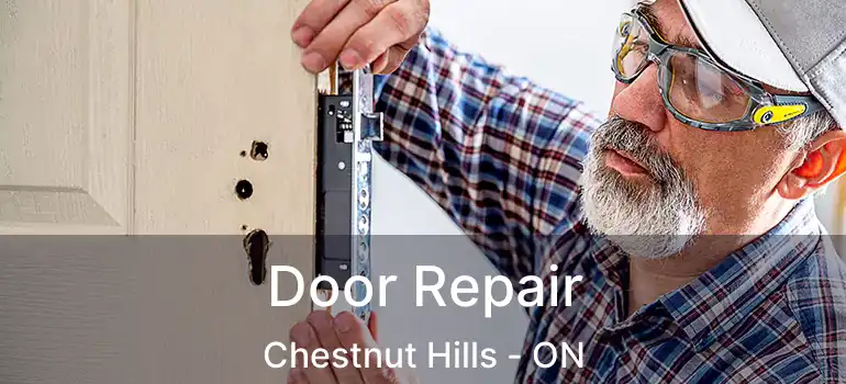 Door Repair Chestnut Hills - ON