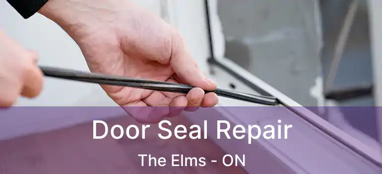  Door Seal Repair The Elms - ON