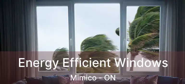 Energy Efficient Windows Mimico - ON