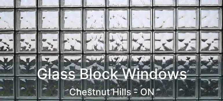  Glass Block Windows Chestnut Hills - ON