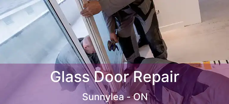  Glass Door Repair Sunnylea - ON