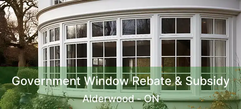  Government Window Rebate & Subsidy Alderwood - ON