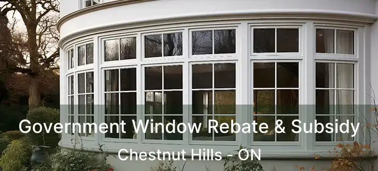  Government Window Rebate & Subsidy Chestnut Hills - ON
