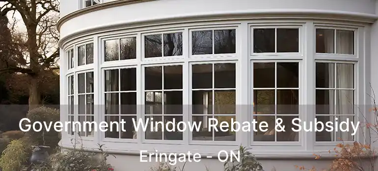  Government Window Rebate & Subsidy Eringate - ON