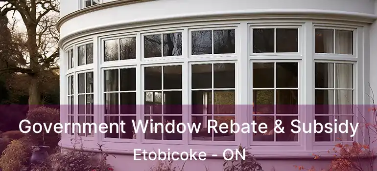  Government Window Rebate & Subsidy Etobicoke - ON