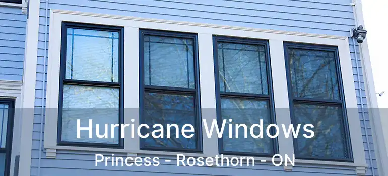  Hurricane Windows Princess - Rosethorn - ON