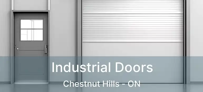  Industrial Doors Chestnut Hills - ON