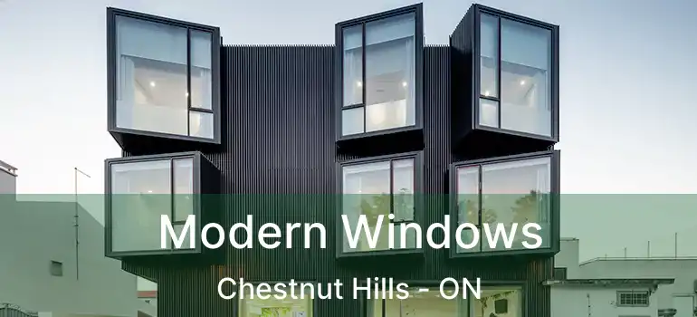 Modern Windows Chestnut Hills - ON