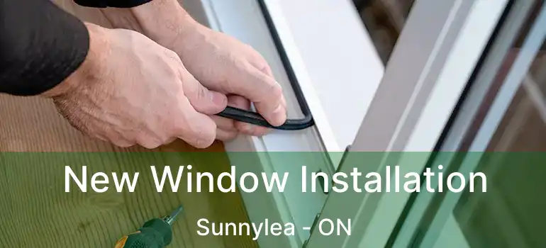  New Window Installation Sunnylea - ON