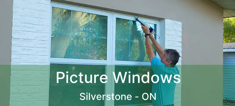  Picture Windows Silverstone - ON