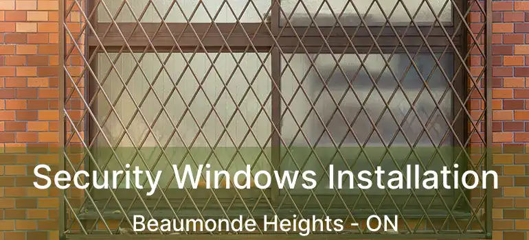  Security Windows Installation Beaumonde Heights - ON