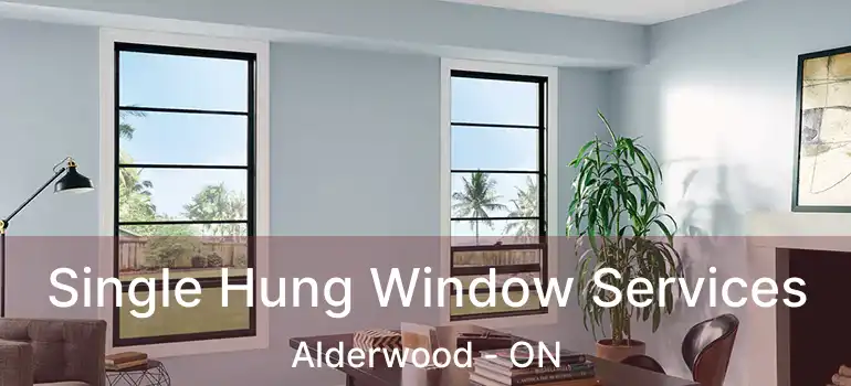  Single Hung Window Services Alderwood - ON