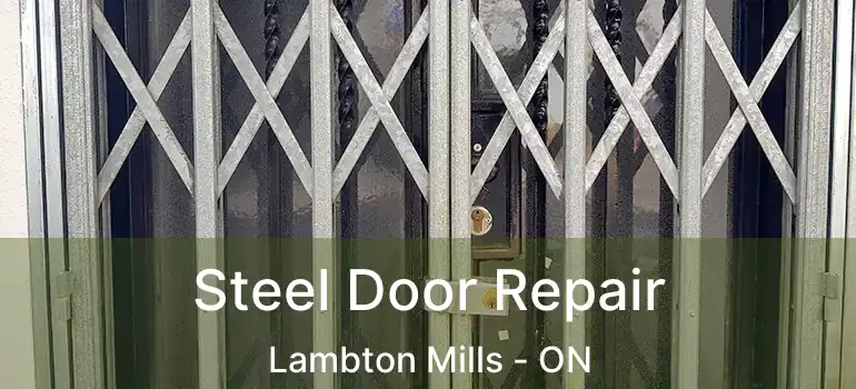  Steel Door Repair Lambton Mills - ON