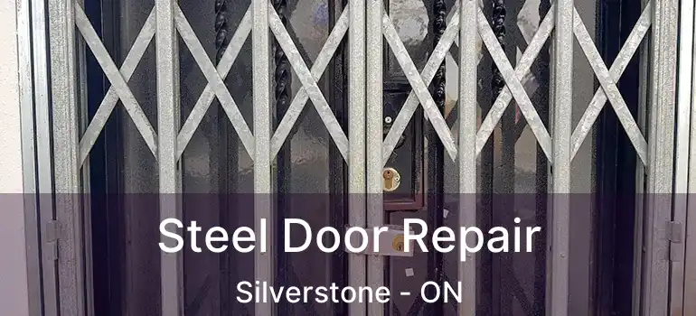  Steel Door Repair Silverstone - ON