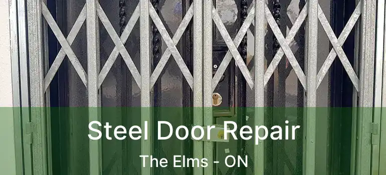  Steel Door Repair The Elms - ON