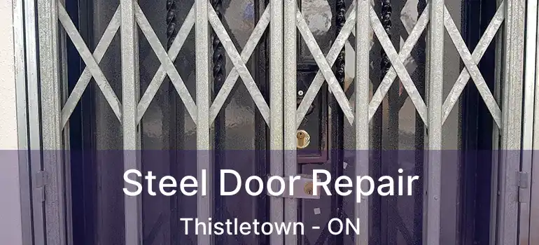  Steel Door Repair Thistletown - ON