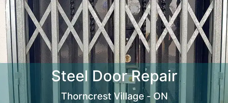  Steel Door Repair Thorncrest Village - ON