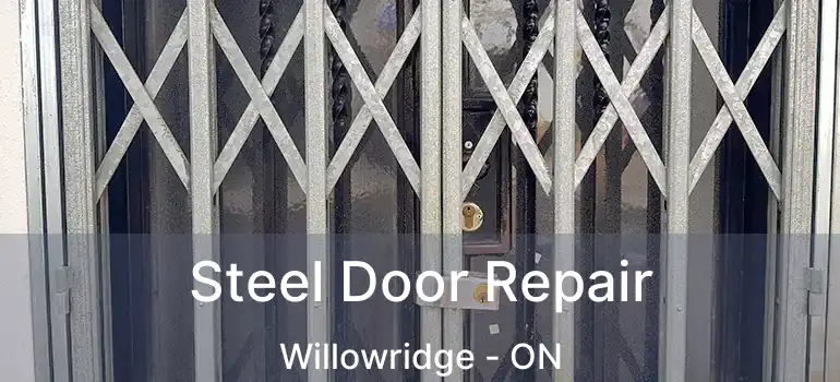  Steel Door Repair Willowridge - ON