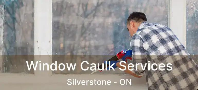  Window Caulk Services Silverstone - ON