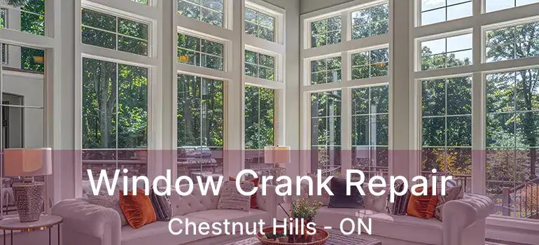  Window Crank Repair Chestnut Hills - ON