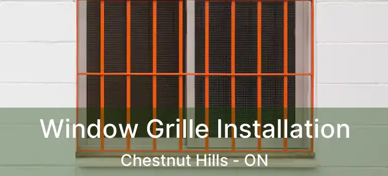 Window Grille Installation Chestnut Hills - ON