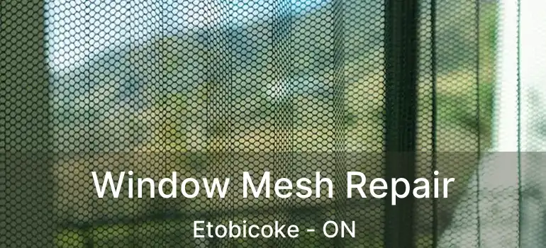  Window Mesh Repair Etobicoke - ON