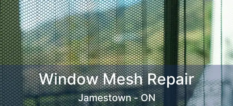  Window Mesh Repair Jamestown - ON