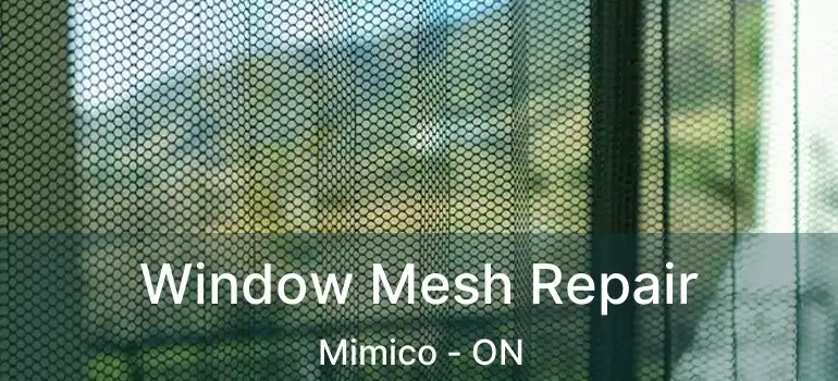  Window Mesh Repair Mimico - ON