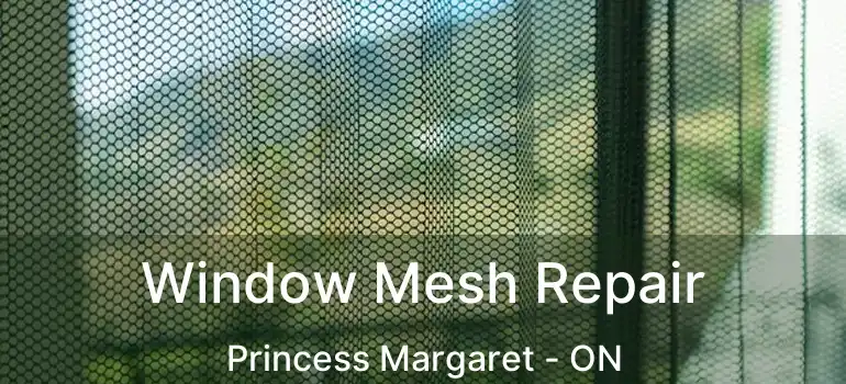  Window Mesh Repair Princess Margaret - ON