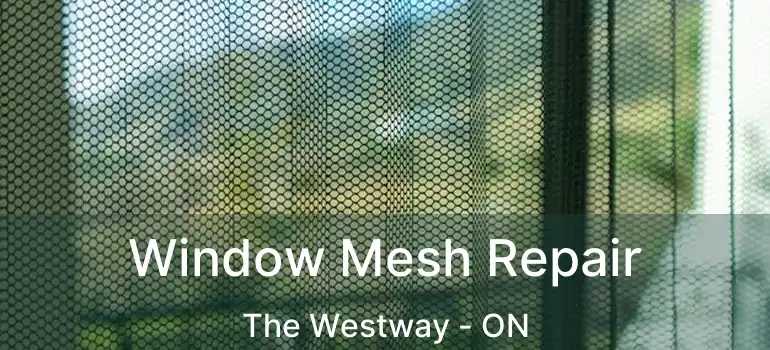  Window Mesh Repair The Westway - ON