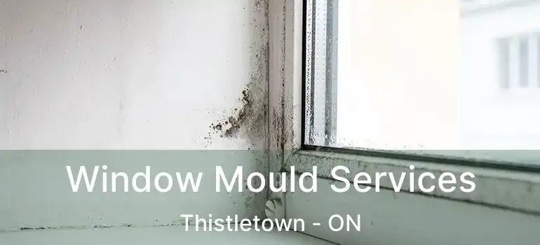  Window Mould Services Thistletown - ON