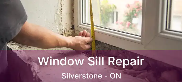  Window Sill Repair Silverstone - ON