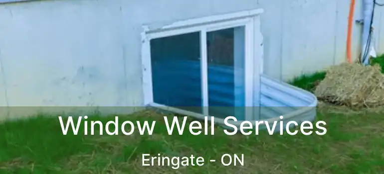  Window Well Services Eringate - ON
