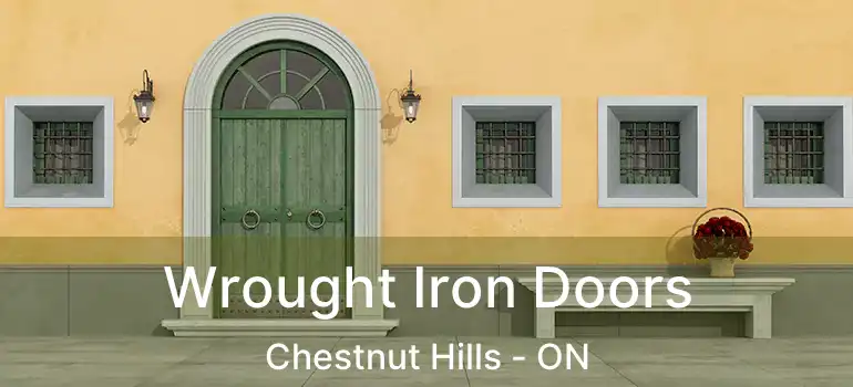  Wrought Iron Doors Chestnut Hills - ON